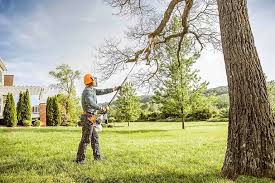 Best Weed Control  in Santa Clarita, CA
